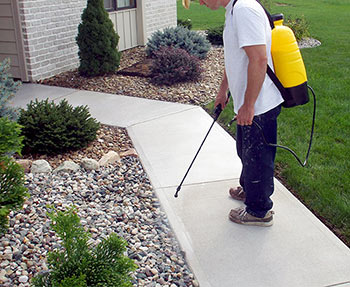 Concrete driveway sealer - sprayer